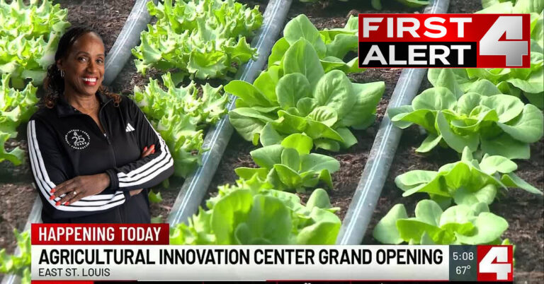 Read more about the article Jackie Joyner-Kersee opens new innovation center aimed at growing opportunity in East St. Louis